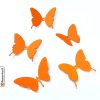 decoraione-da-parete-farfalle